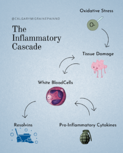 Inflammatory Cascade Infographic